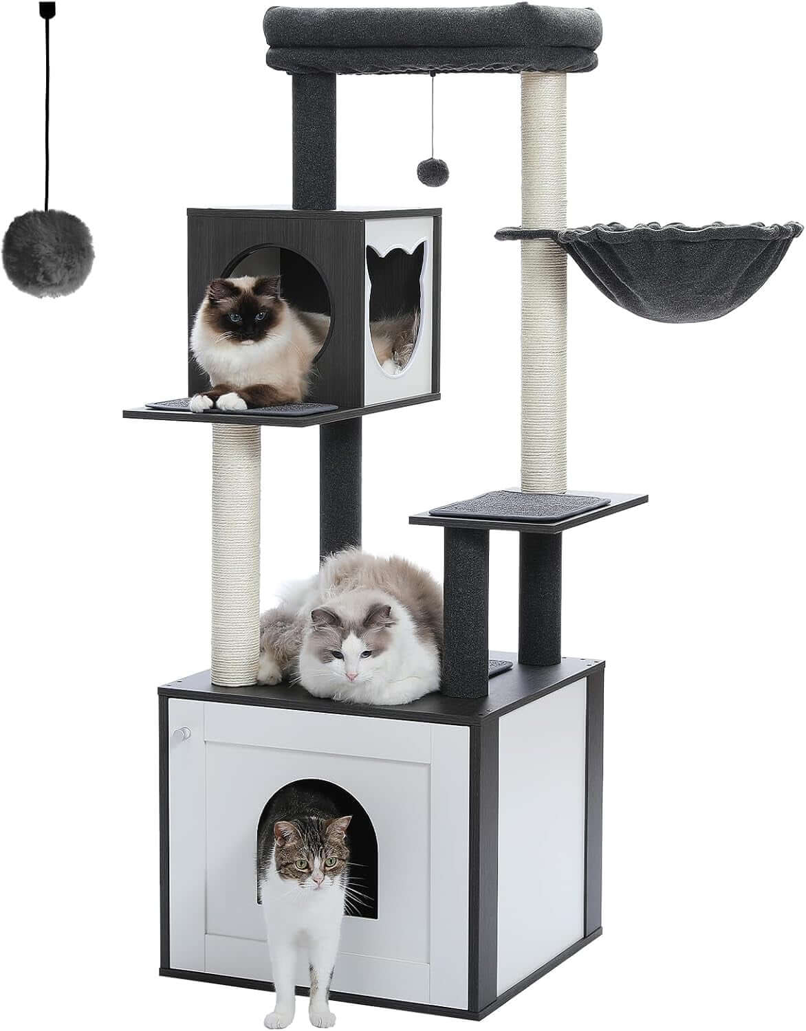 Premium Pet Supplies and Must-Have Accessories | LoyalPaws Shop